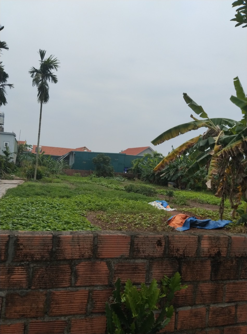 Đất mẶt phố siêu đẹp. có 1_0_2 . tại Phường Hà An/tx Quảng Yên.