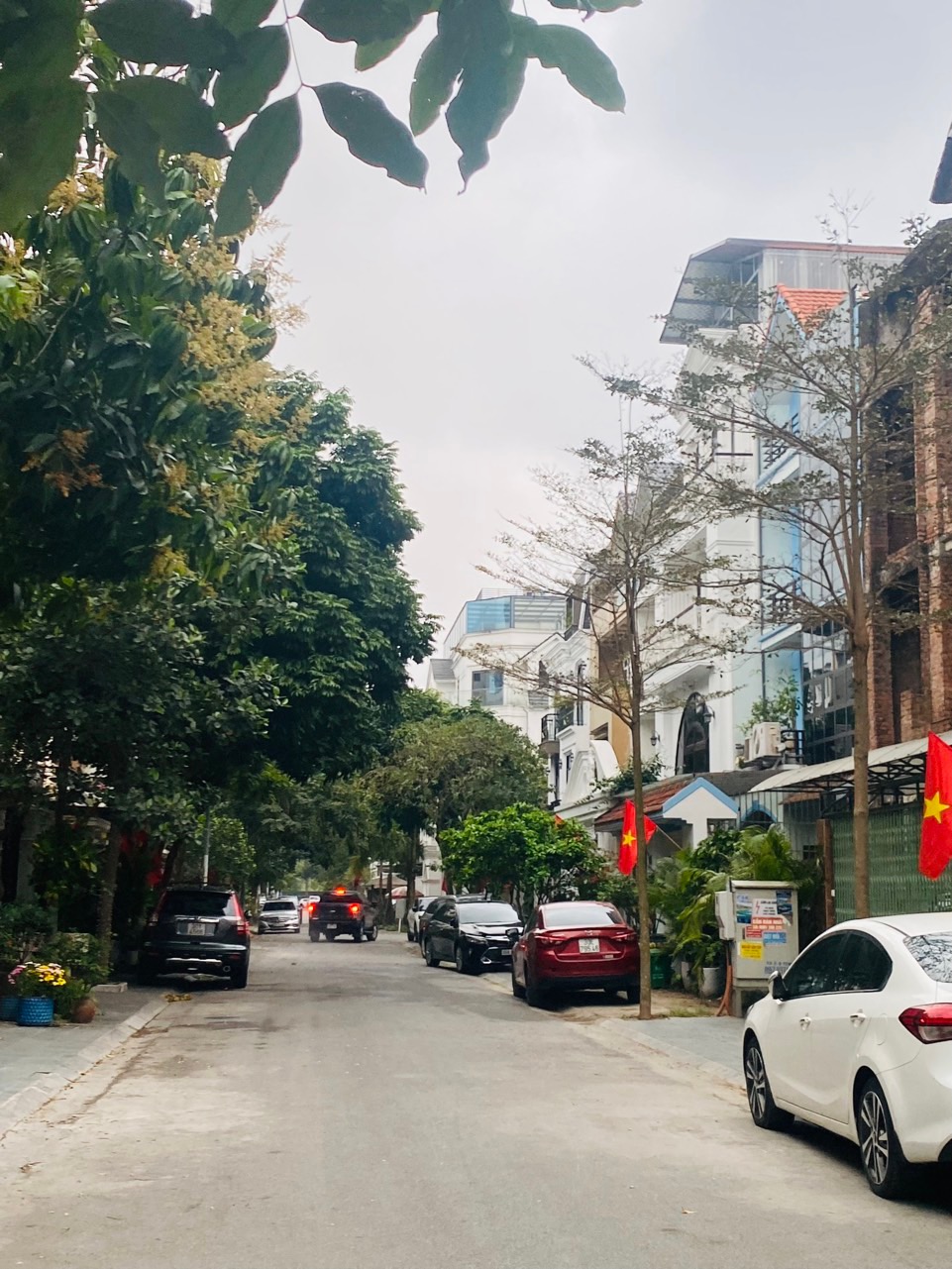 Chủ nhà chuyển công tác Sài Gòn chuyển nhượng Biệt thự Nhà vườn 120m2 hàng xóm thân thiện