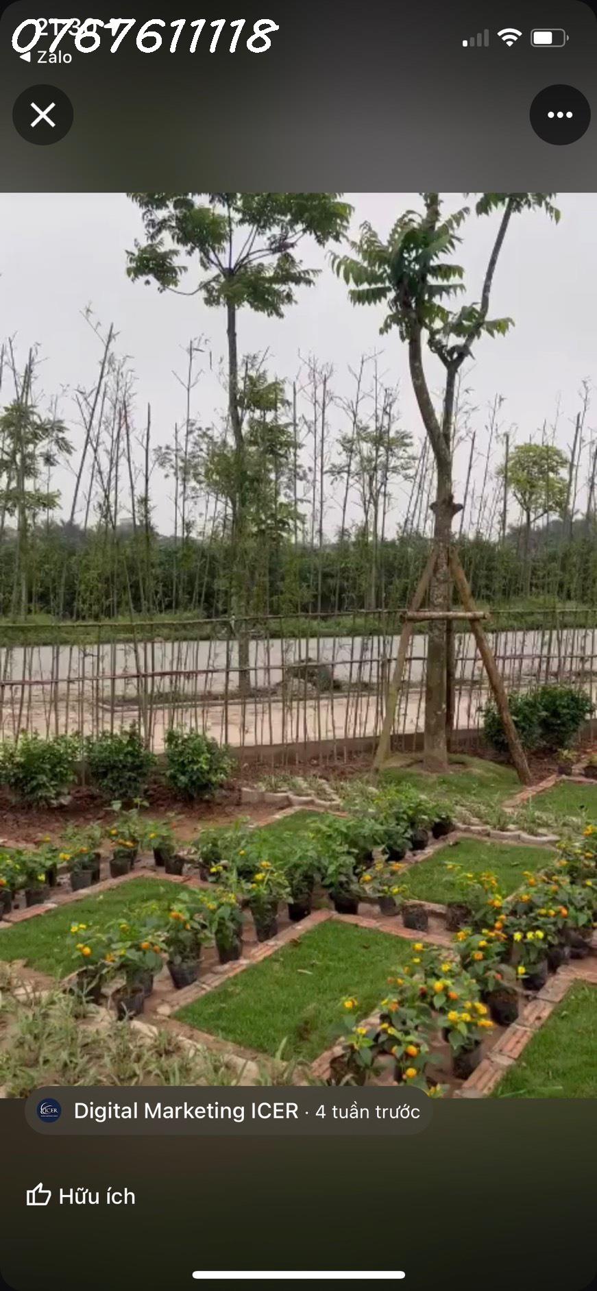 Bán đất mặt phố Nguyễn Văn Cừ 130m,MT8.6m,phù hợp xây tòa nhà cho thuê,310tr