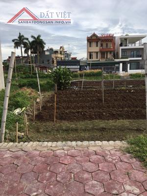Cần bán đất vịt cỏ hồ sen đường Trường Chính sau lô hỗn hợp đường 52m phường Tân Bình, thành phố