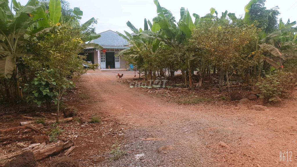 Bán đất vườn Xã Bàu Hàm, Huyện Trảng Bom, Đồng Nai