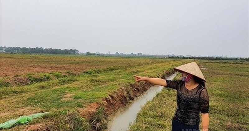 Kiểm tra pháp lý đất nông nghiệp
