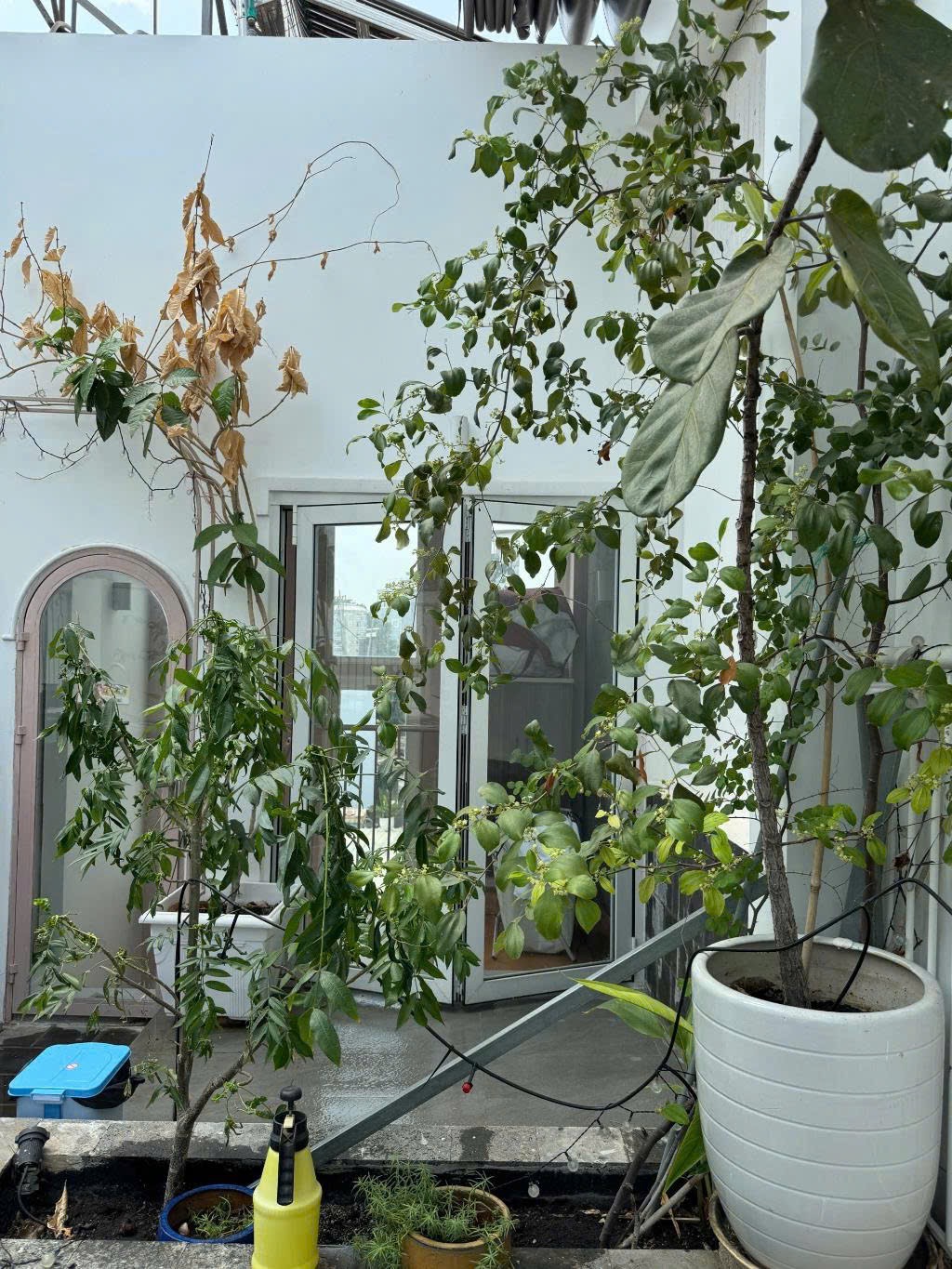 Nhà gần Nơ trang Long - Bình thạnh