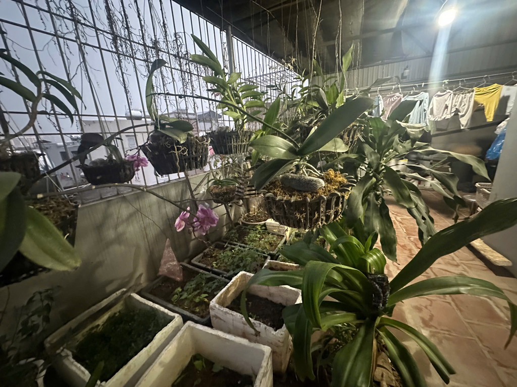 BÁN NHÀ XUÂN PHƯƠNG- 2 MẶT THOÁNG- 4 TẦNG MỚI ĐẸP Ở NGAY- DT 52 M - MẶT TIỀN 4M - GIÁ 5.8 TỶ CÓ THƯƠNG LƯỢNG