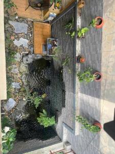 CĂN HỘ ĐÁNG MƠ ƯỚC - CHỐN BÌNH YÊN CHO MỌI GIA ĐÌNH