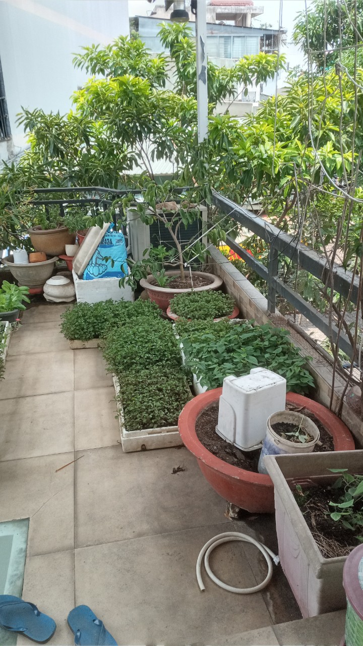 Bán nhà MT Tân Thới Nhất 12. 4,2x21. Phường Tân Thới Nhất. Quận 12.