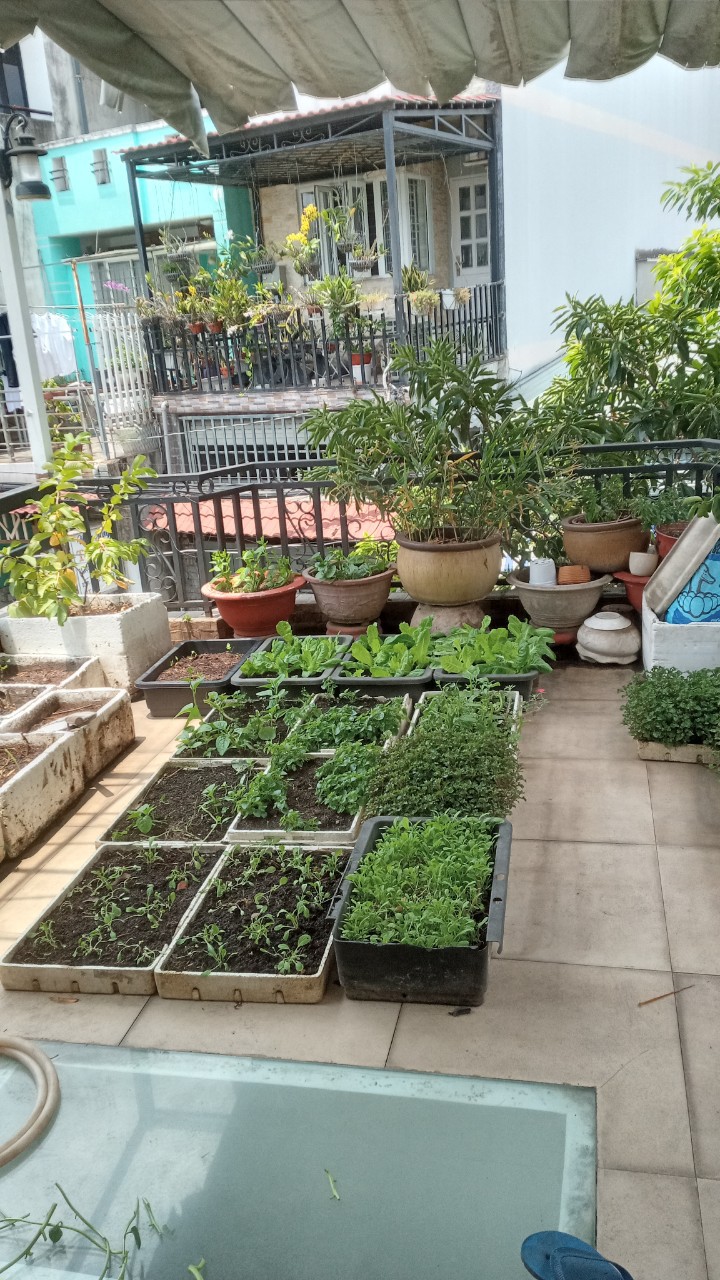 Bán nhà MT Tân Thới Nhất 12. 4,2x21. Phường Tân Thới Nhất. Quận 12.