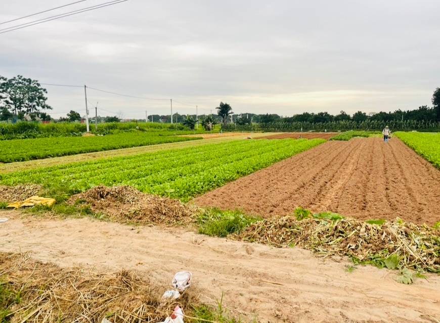 Bán đất giá rẻ tại thôn Gia Lâm-Lệ Chi