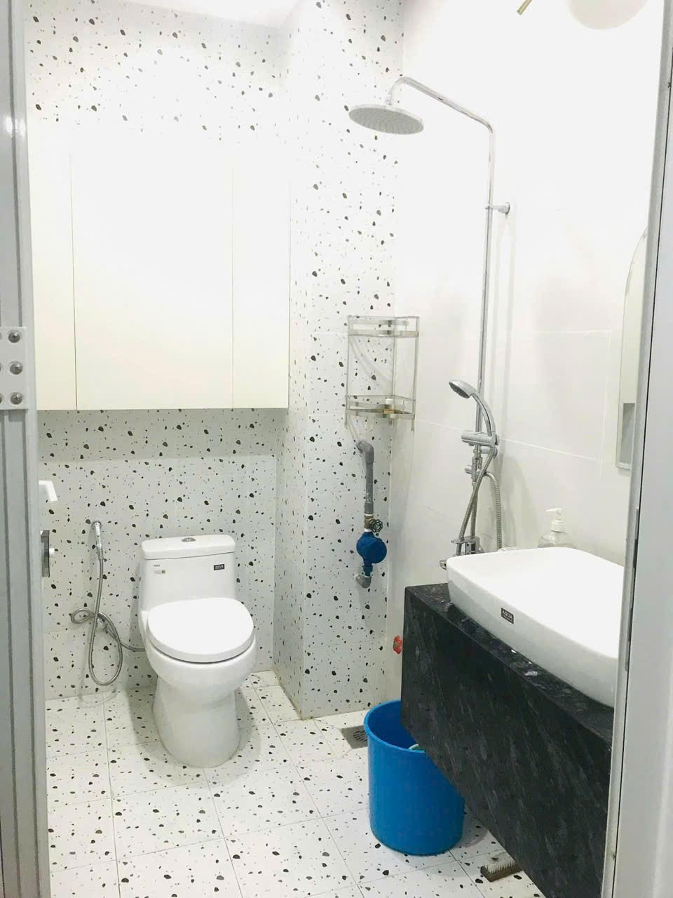 Nguyễn Thị đệ chính chủ