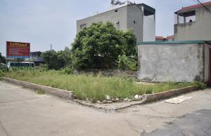Bán đất Cổ Dương, Đông Anh, Hà Nội