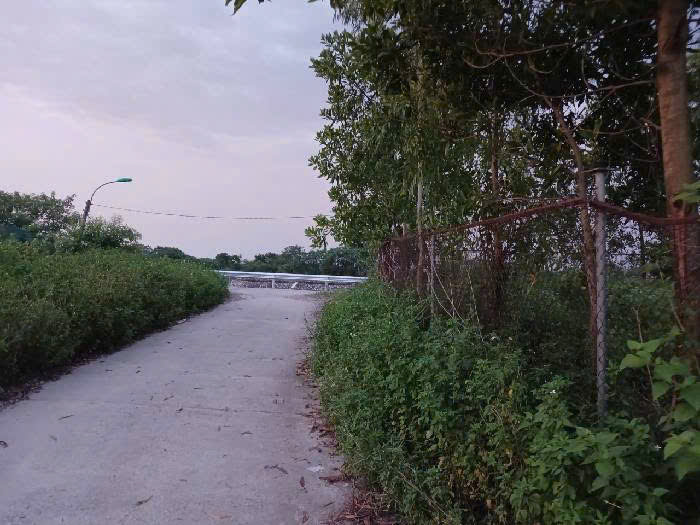 Bán Đất Xã Yên Mỹ-Thanh Trì