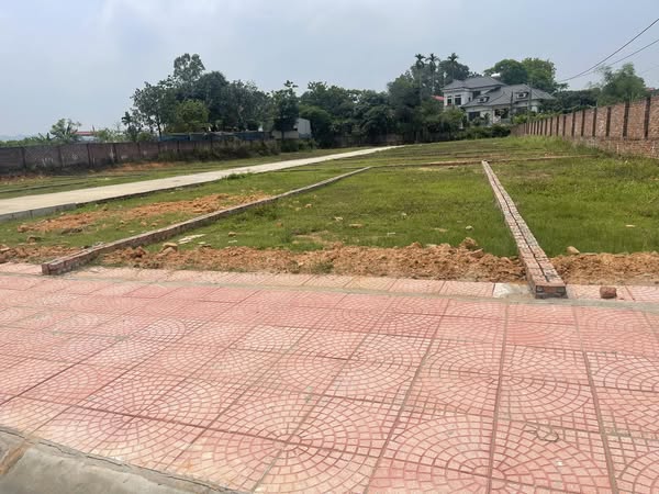 NHỈNH 2 TỶ – CÓ NGAY LÔ ĐẤT VÀNG TẠI XUÂN ĐỒNG – TÂN MINH Diện tích: 109m² | Mặt tiền: 5m