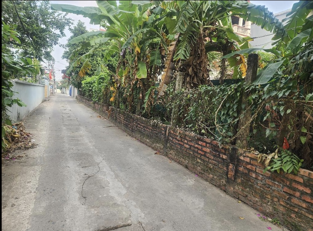 Cần tiền “B.Á.N”gấp mảnh đất Tằng My,Nam Hồng.