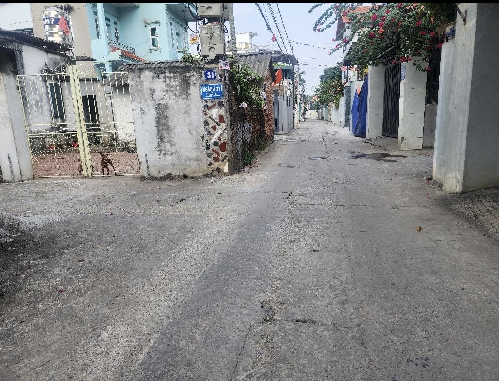 Cần tiền “B.Á.N”gấp mảnh đất Tằng My,Nam Hồng.