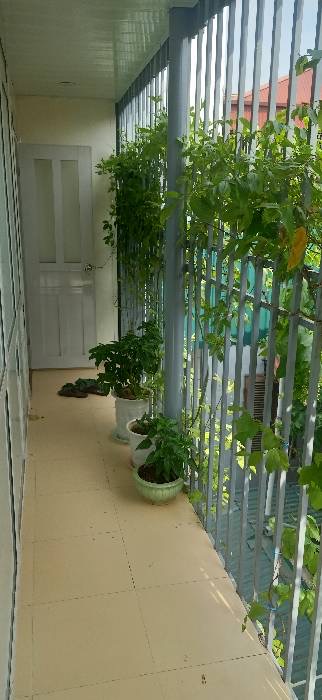 Bán nhà chính chủ