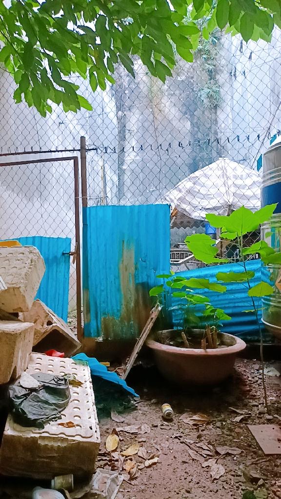 Bán đất trung tâm thông số đẹp nở hậu