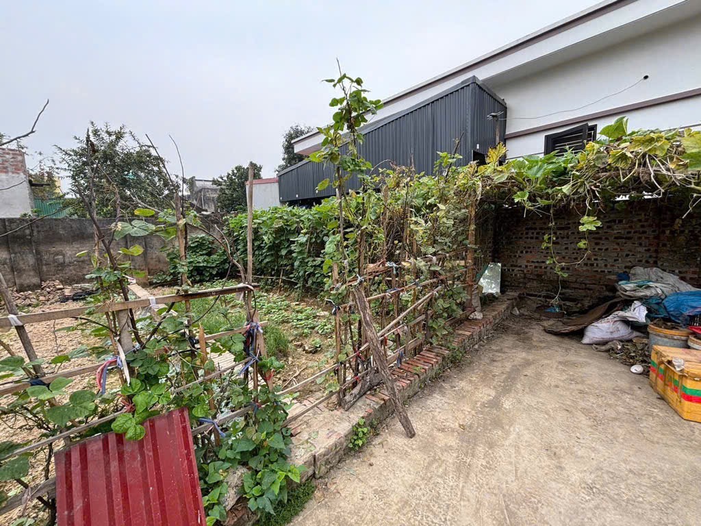 BÁN ĐẤT TIỀM NĂNG BẮC HỒNG ĐÔNG ANH HÀ NỘI