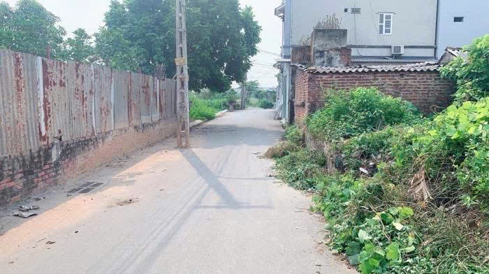 Bán đất Tằng My Nam Hồng 86m