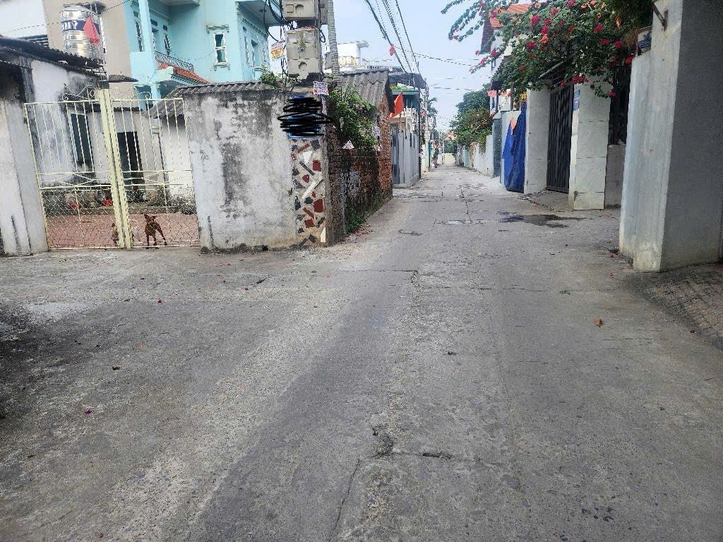 Bán đất Tằng My, Nam Hồng, Mặt ngõ thông, Ô tô 7 chỗ vào nhà, 86,5m2, 4 tỷ 2