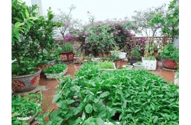 Bán nhà phố Tư Đình 65m2x 5 tầng ,MT 5M , GARA Ô TÔ , giá chào 6.3 tỷ .
