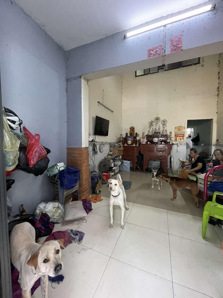 BÌNH TÂN - HẺM OTO THÔNG - NỞ HẬU NHẸ -53M - 2 TẦNG - NHICH 4.X.X.X...