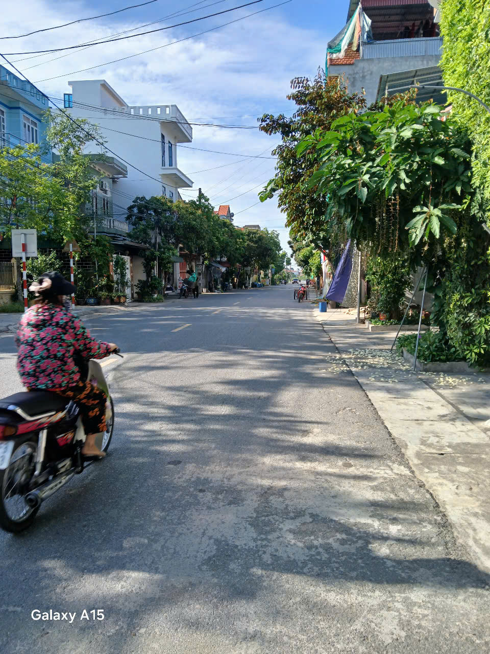 HOA HẬU LIỀN KỀ LÊ TRỌNG TẤN - ĐƯỜNG Ô TÔ -  NHỈNH 13 TỶ