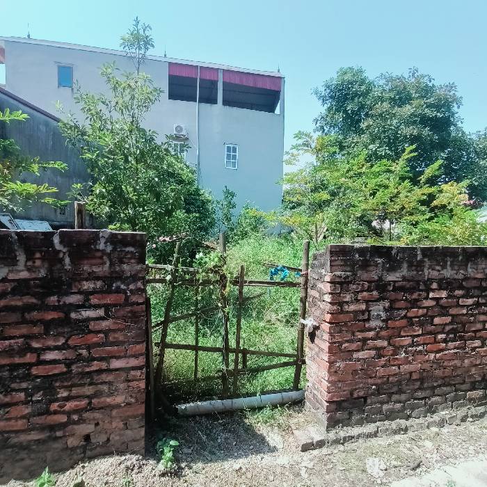 Bán gấp 244m2 đất lệ chi