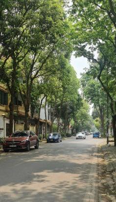 N.H.À ĐẸP TÂY NAM LINH ĐÀM NGÕ OTO 6 TẦNG NHỈNH 6 TỶ