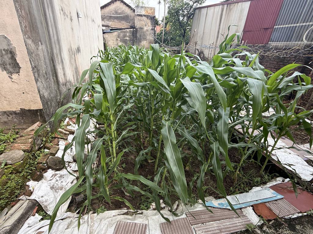 CỰC PHẨM QUANG LÃM HÀ ĐÔNG_ CHỈ HƠN 12 TỶ CÓ NGAY 48M _ NHÀ MỚI SĂN Ở _ 7 TẦNG THANG MÁY _ Ô TÔ