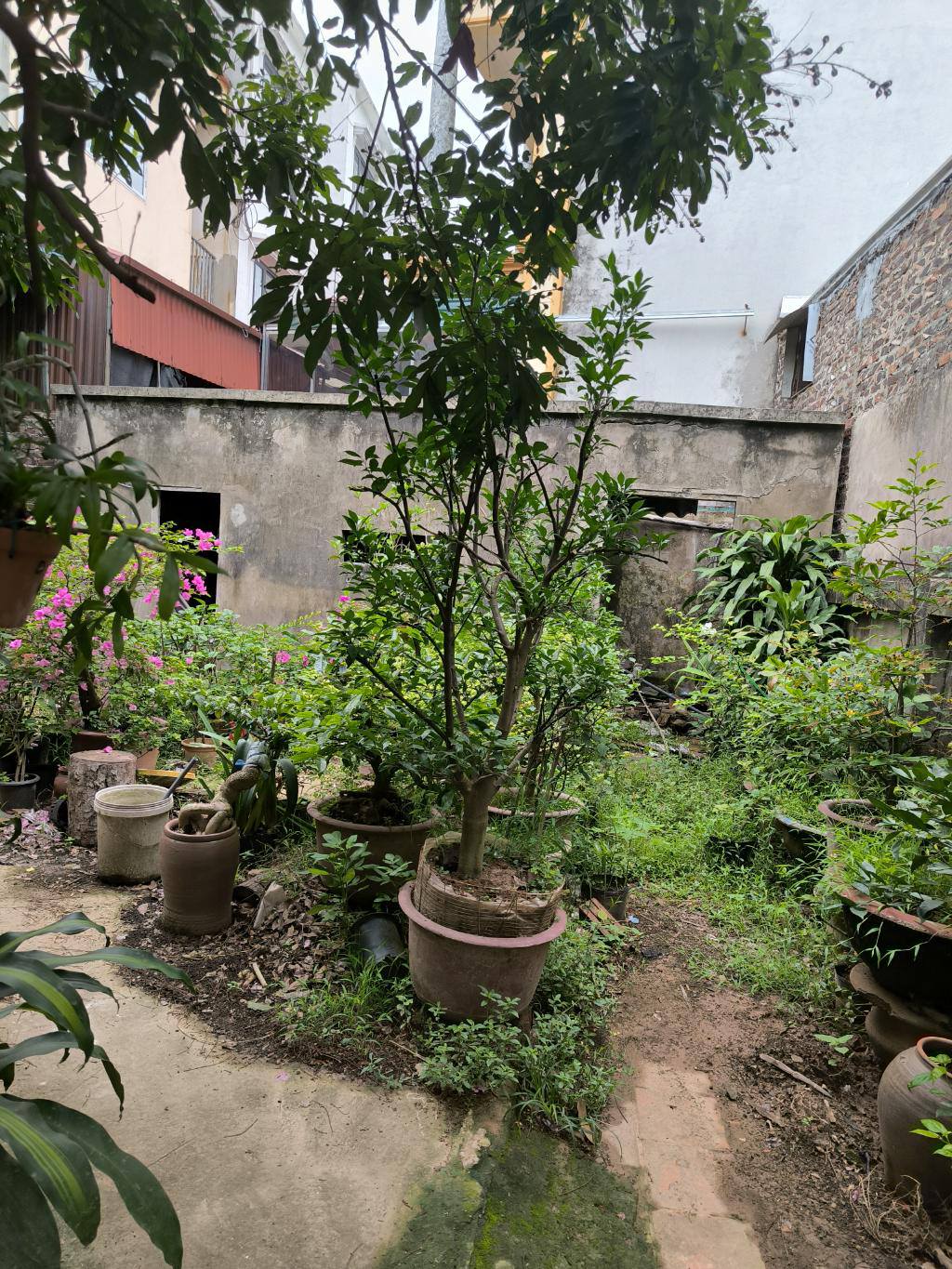 CỰC PHẨM QUANG LÃM HÀ ĐÔNG_ CHỈ HƠN 12 TỶ CÓ NGAY 48M _ NHÀ MỚI SĂN Ở _ 7 TẦNG THANG MÁY _ Ô TÔ