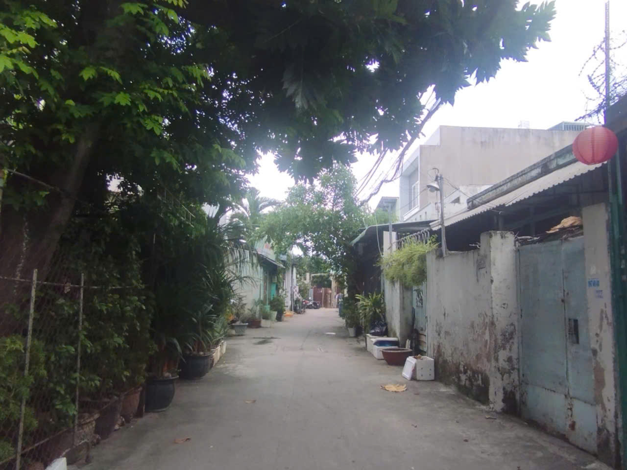 MS6-02- ĐẤT TẶNG NHÀ 83M2- 5TỶ150- NGUYỄN THỊ BÚP- FULL SỔ