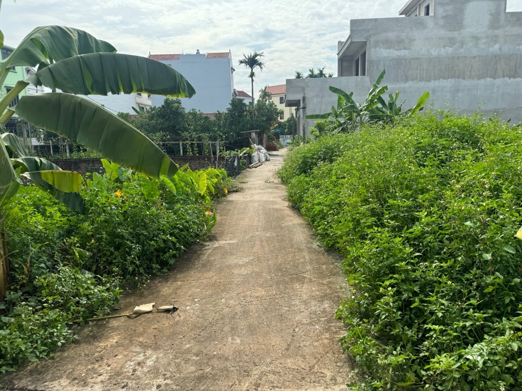 102m2 ĐẤT CỰC ĐẸP TẠI SONG PHƯỢNG, ĐAN PHƯỢNG, HÀ NỘI