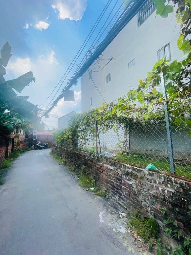 Đất lô góc vuông – Hạ Trại - Cự Khối -  tiềm năng tăng giá mạnh