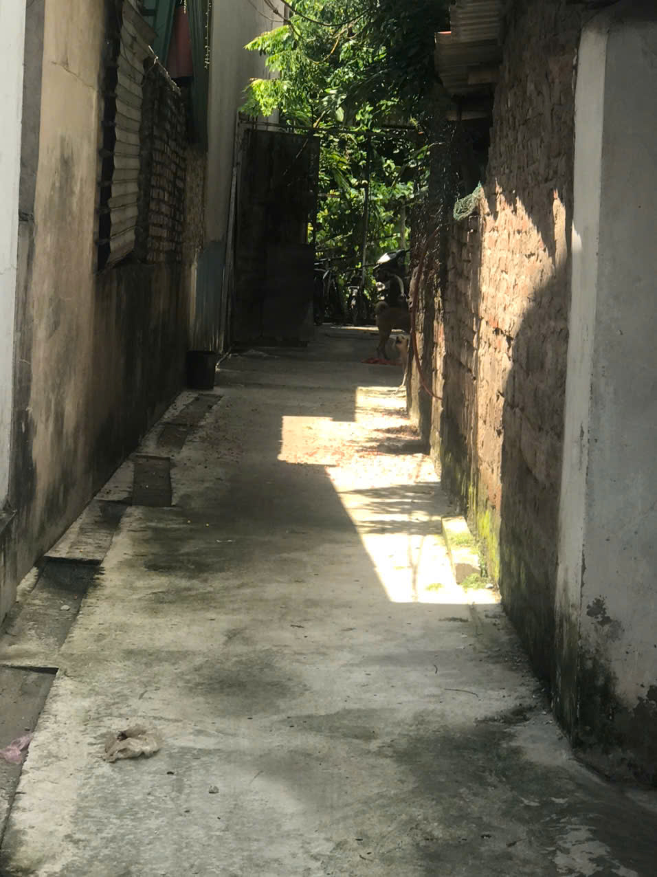 MIẾNG ĐẤT 98m, MỞ CỔNG VIEW HỒ ĐÔNG TRẠCH LỘNG GIÓ, MẶT TIỀN 7,5m. 3 CỬA THOÁNG CHỈ 5 TỶ.