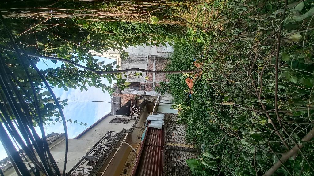 Kinh doanh- an sinh tốt