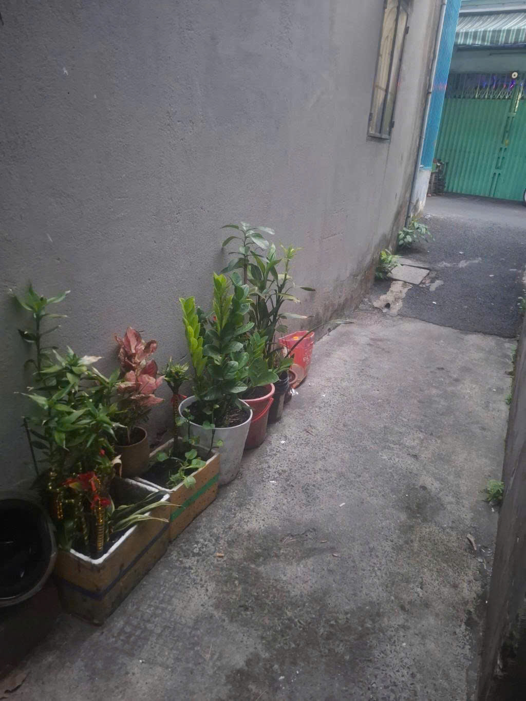 Bán Nhà nhỏ 3 tầng Quận 6, Bình Tiên 3x6 chỉ có 2 tỷ x tiểu học