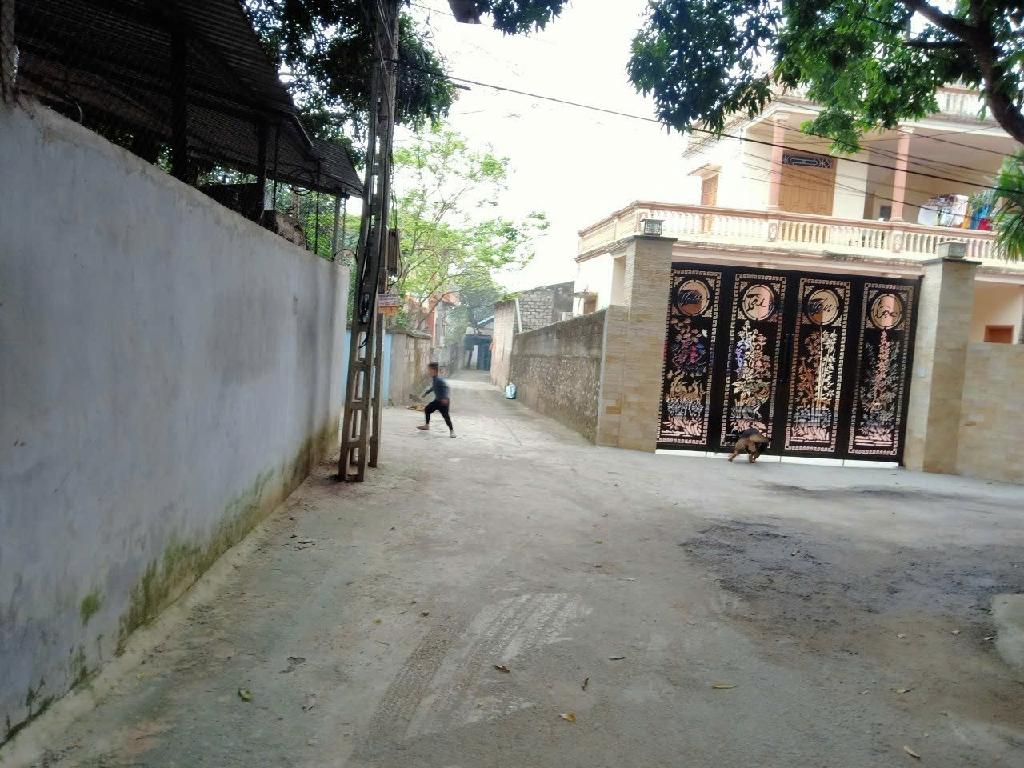 Bán đất biệt thự sân vườn Hoàng Văn Thụ full thổ cư 350m2 2,9 tỉ