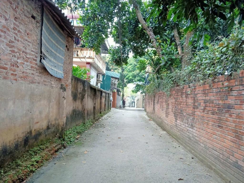 Bán đất biệt thự sân vườn Hoàng Văn Thụ full thổ cư 350m2 2,9 tỉ