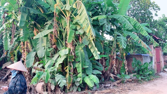 NHÀ ĐẤT THẠCH BÀN - LONG BIÊN MỚI XÂY CẦN BÁN