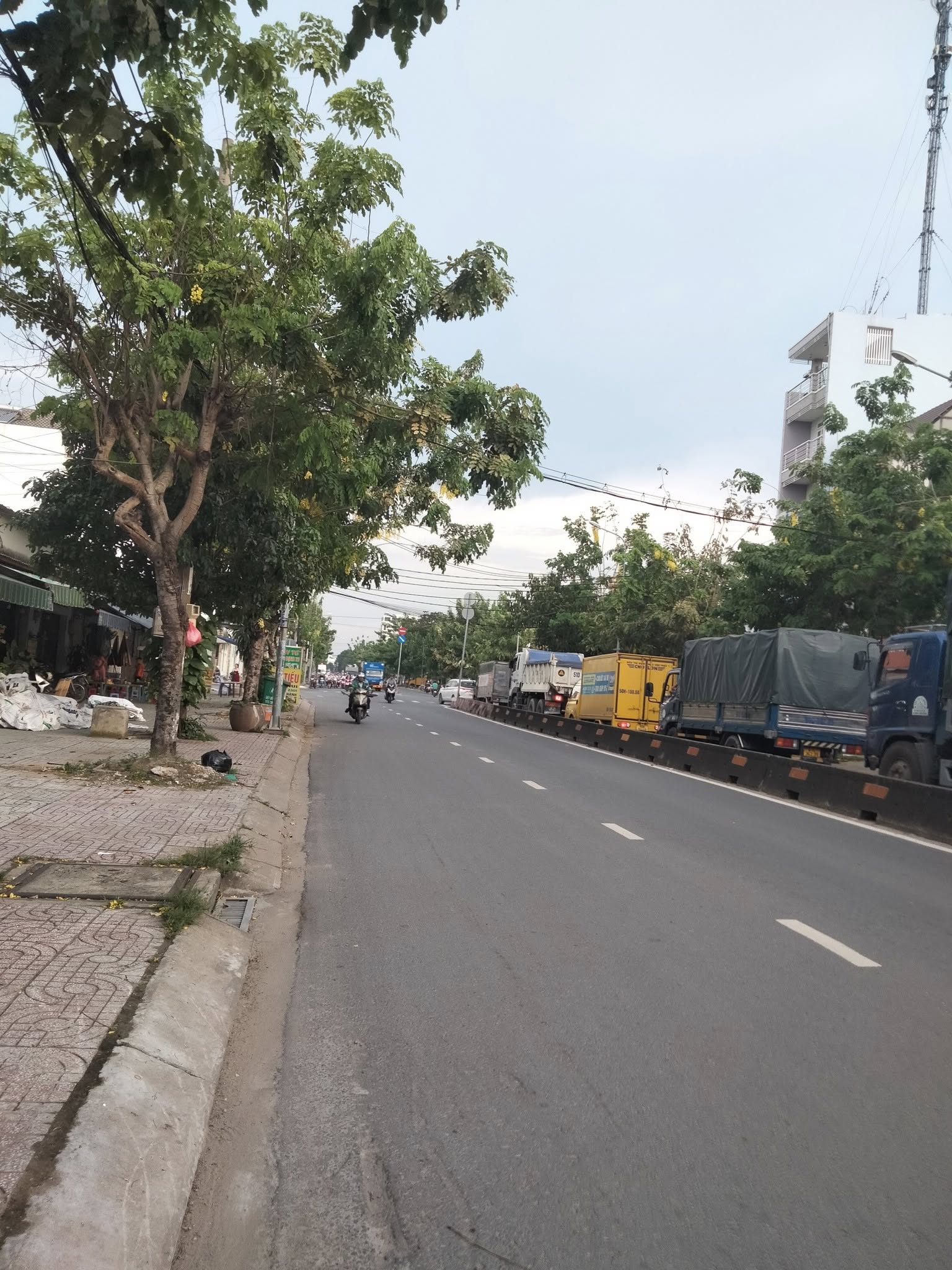 Lê Thị Riêng, 96m , nhà cấp bốn, Thới An, Q12