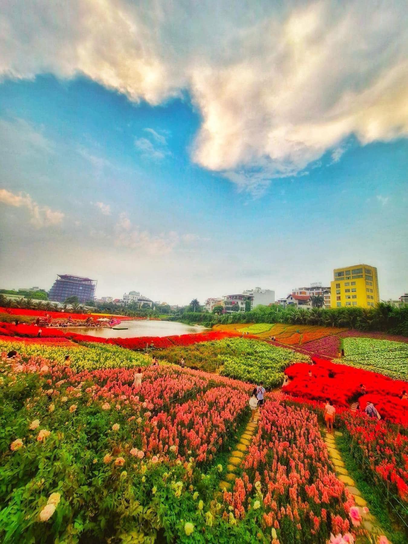 Nhà đẹp Tây Hồ mua đầu tư dòng tiền khủng 12.000&/tháng xây 8 tầng 33 phòng mới tinh