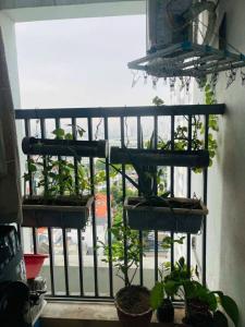 bán nhà tòa trung rice kđt  linh đàm giá 4.05 tỷ 57m2