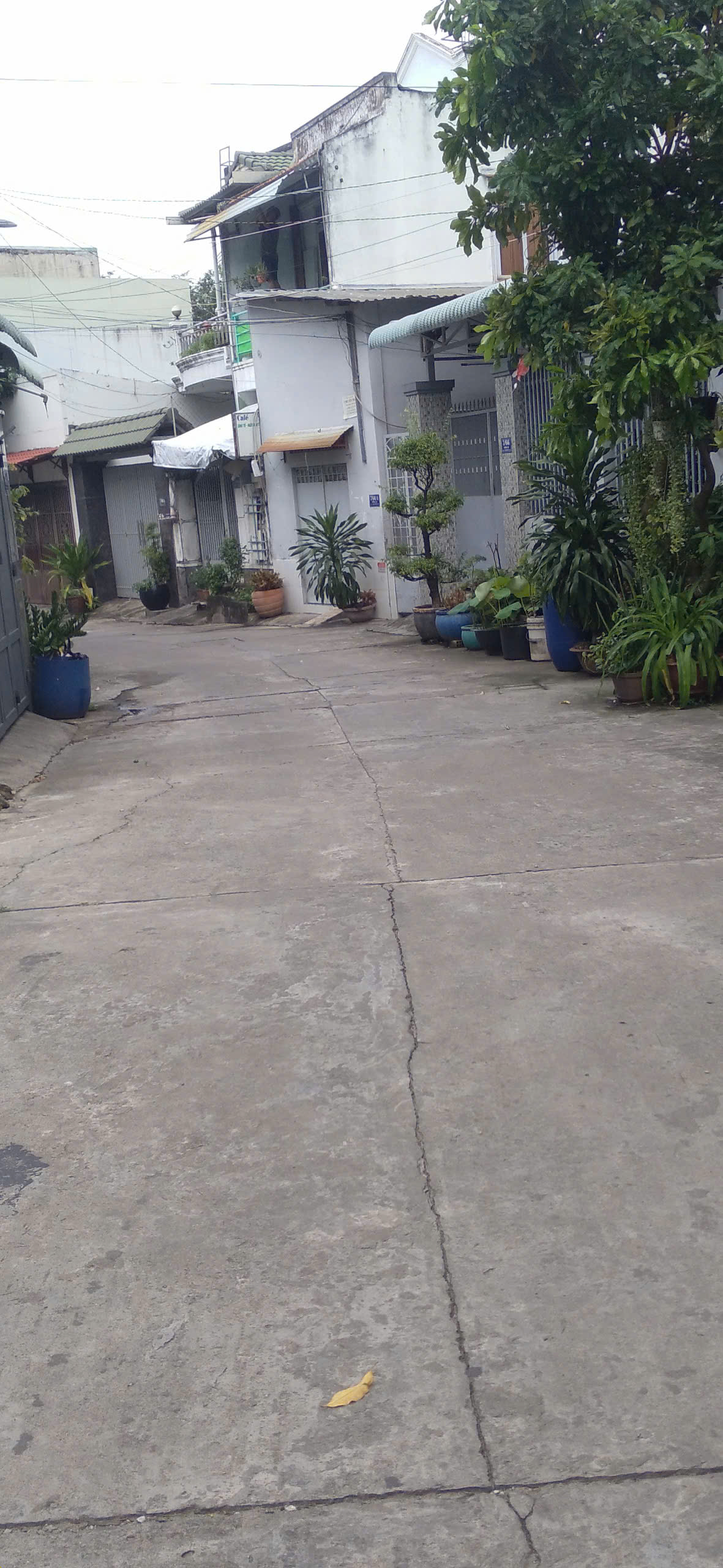 Lô đất đường 385, đường ô tô thông