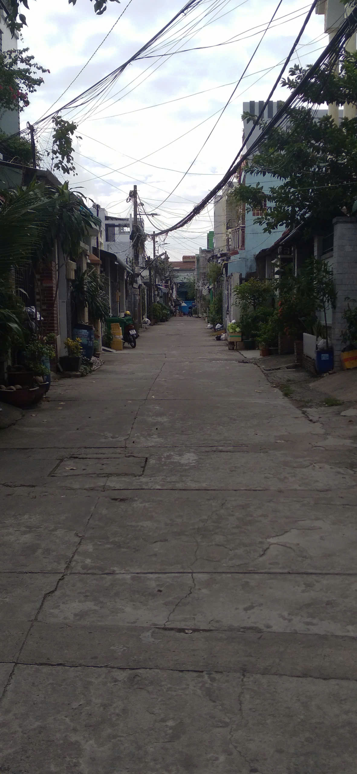 Lô đất đường 385, đường ô tô thông