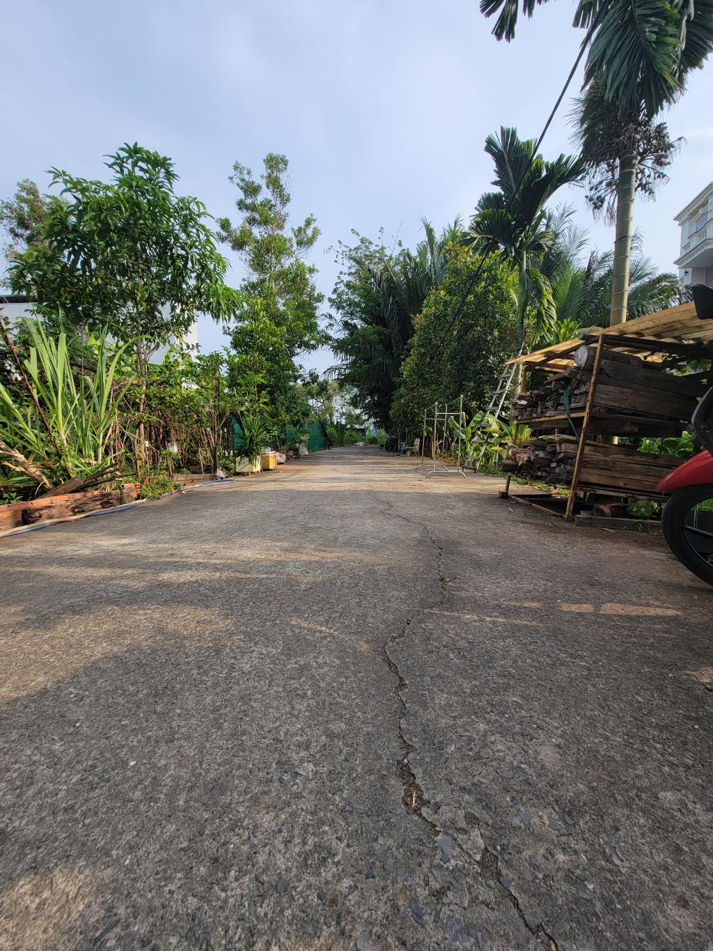 cần bán gấp nhà cấp 4 thoáng mát