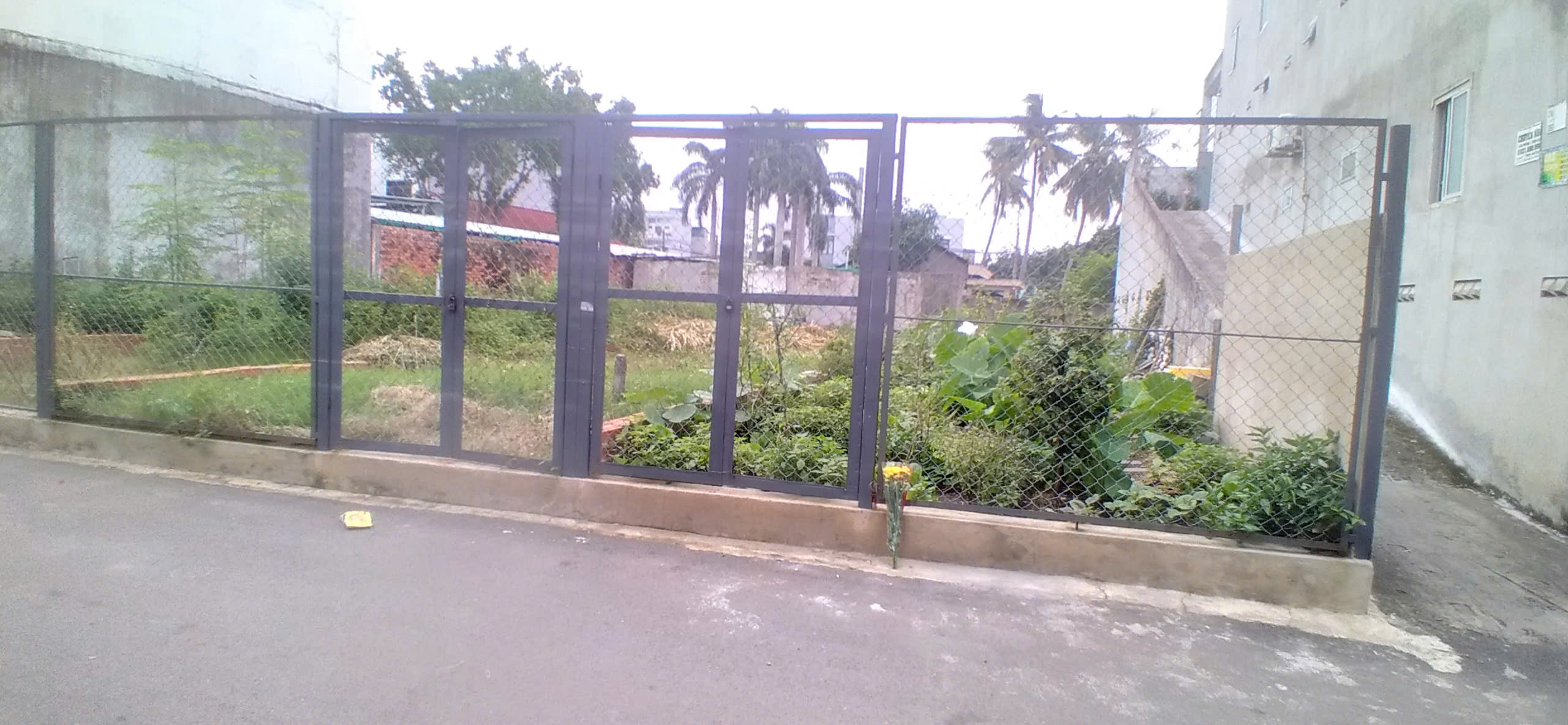 Đất nền diện tích lớn – giá mềm – hẻm ô tô thông thoáng