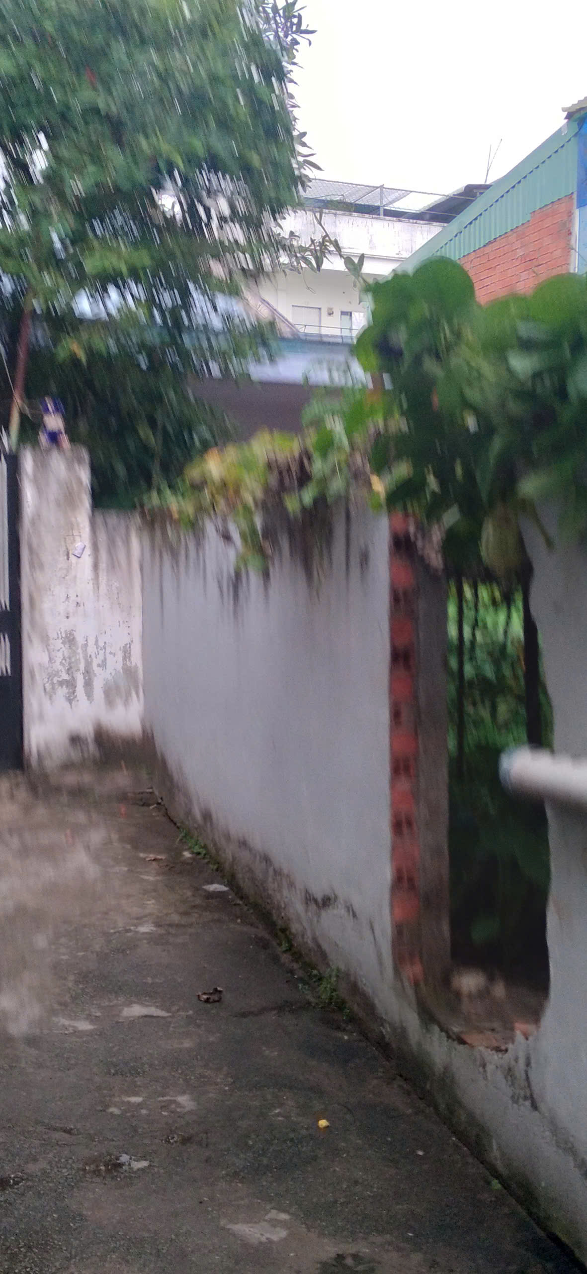 Bán đất nền giá tốt