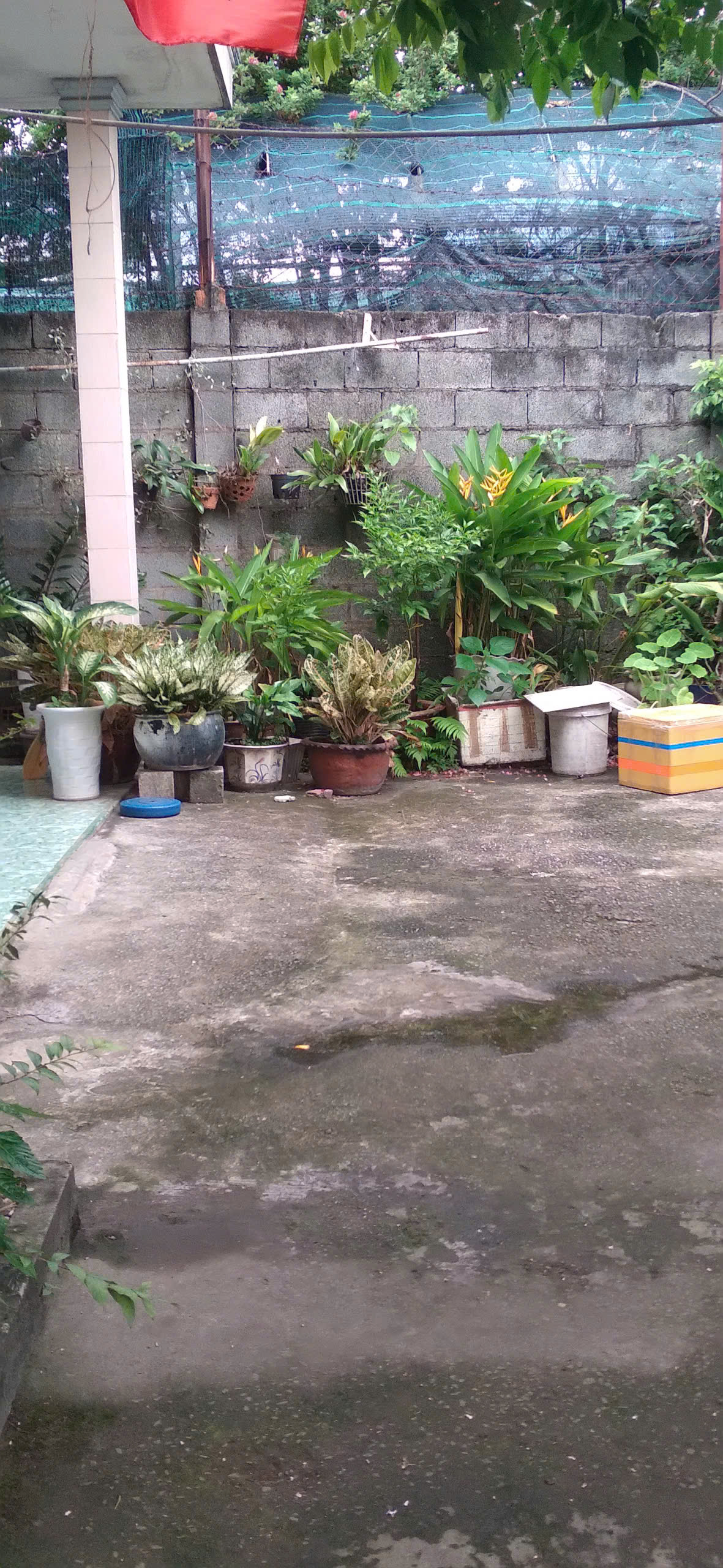 Cần bán nhanh nhà cấp 4 hạ giá cực tốt tại Tăng Nhơn Phú.