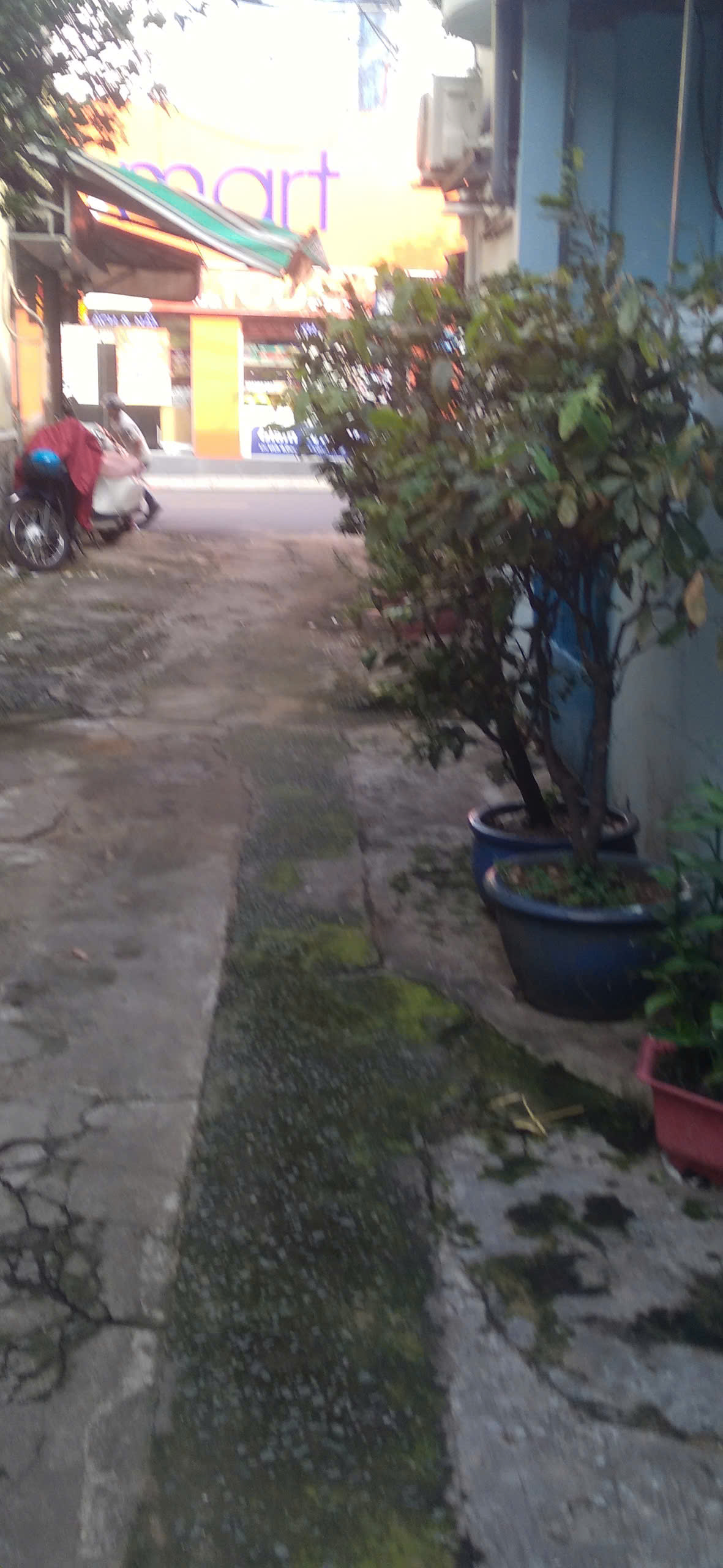 CHÍNH CHỦ CẦN BÁN GẤP NHÀ MẶT TIỀN ĐƯỜNG TÂN LẬP 1 – PHƯỜNG TĂNG NHƠN PHÚ, TP. THỦ ĐỨC