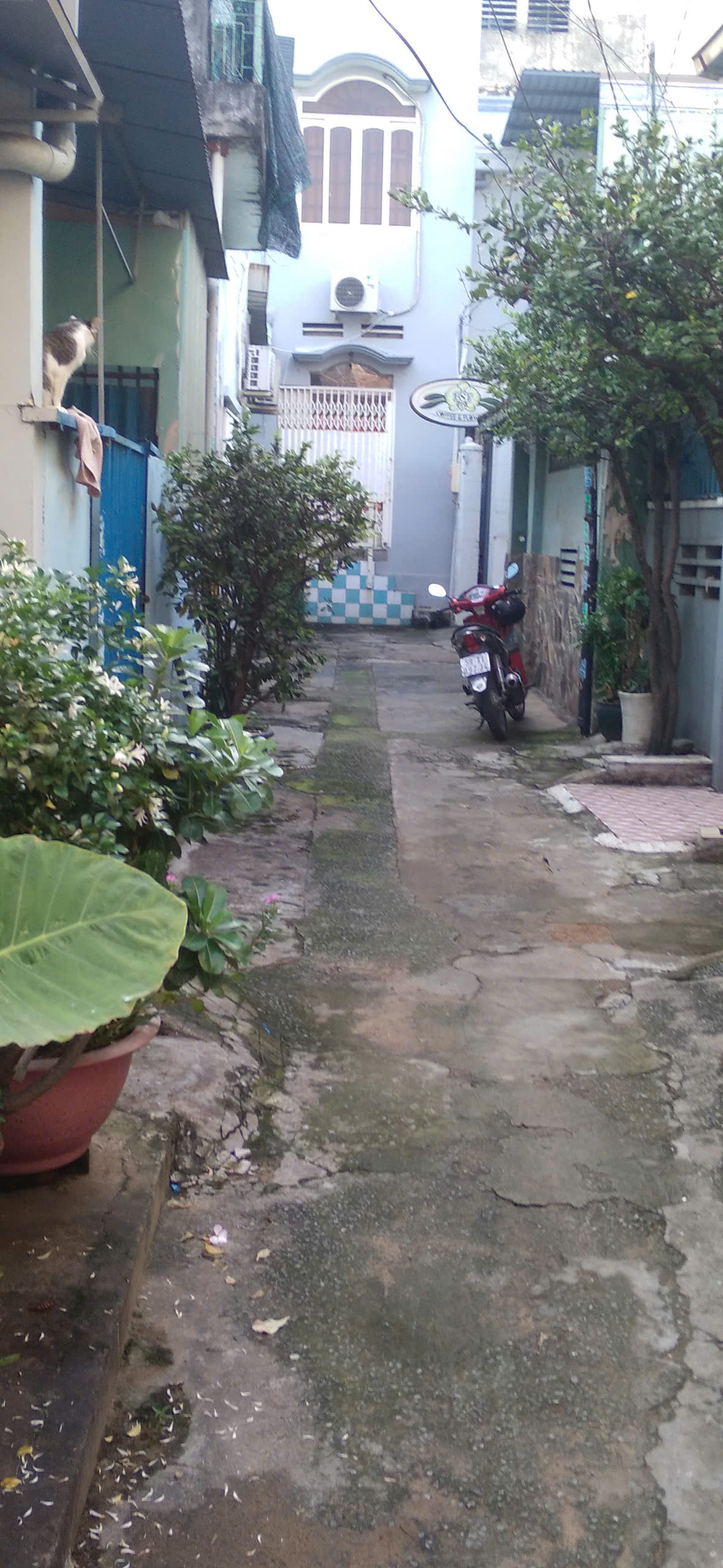 CHÍNH CHỦ CẦN BÁN GẤP NHÀ MẶT TIỀN ĐƯỜNG TÂN LẬP 1 – PHƯỜNG TĂNG NHƠN PHÚ, TP. THỦ ĐỨC